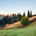 Fall colors mountain hills Royalty Free Stock Photo