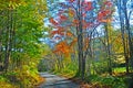 Fall colors on a mountain road . Royalty Free Stock Photo