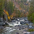 Fall colors by mountain stream Royalty Free Stock Photo