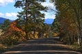 Fall colors in the mountains Royalty Free Stock Photo