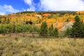 Fall colors in the mountains Royalty Free Stock Photo