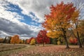 Fall Colors North Bay Royalty Free Stock Photo