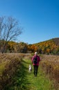 Woman and her dog walking through the forest Royalty Free Stock Photo