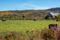 Fall colors in the North country NY Royalty Free Stock Photo