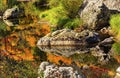 Fall Colors Orange Fire Reflection Wenatchee River Washington Royalty Free Stock Photo