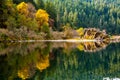Fall colors of orange and yellow reflect in a calm section of the rogue river with pine forest in the background and a large rock Royalty Free Stock Photo