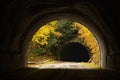 Fall Colors through the Other Side of the Tunnel Royalty Free Stock Photo