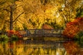 Fall Colors in Outdoor Park Royalty Free Stock Photo