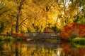 Fall Colors in Outdoor Park Royalty Free Stock Photo