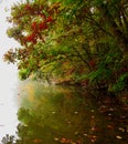 Fall colors over a foggy river Royalty Free Stock Photo