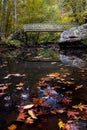 Fall colors at Petit Jean state park in a mountain stream with a bridge crossing Royalty Free Stock Photo