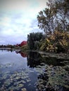 Fall Colors of the Pond in Michigan