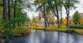 Fall colors at public city park