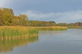 Fall Colors on a Quiet Wetland Royalty Free Stock Photo