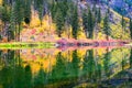 Blaze of fall color reflecting in the Wenatchee River Royalty Free Stock Photo
