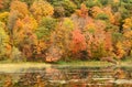 Fall Colors Reflected on a Lake Royalty Free Stock Photo