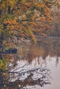 Fall colors reflecting in lake in the marsh in northern Germany