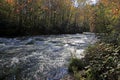 Fall colors and the river running along the Blue Ridge Parkway