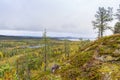 Fall colors - ruska time in Lapland