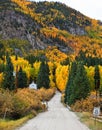 Fall Colors in Saint Elmo, Colorado
