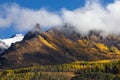 Fall colors in the San Juan Mountains near Telluride, Colorado Royalty Free Stock Photo