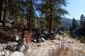 Fall Colors, Sandy Beach, Boulders, Pine Trees, Hills, Idaho