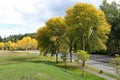 Fall colors on a scenic parkway Royalty Free Stock Photo