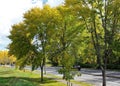 Fall colors on a scenic parkway Royalty Free Stock Photo