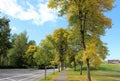 Fall colors on a scenic parkway Royalty Free Stock Photo