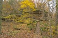 Fall Colors on a Secluded Forest Trail