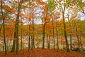 Fall Colors on a Secluded Ridge