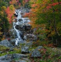 Fall colors at the Silver Cascade Royalty Free Stock Photo