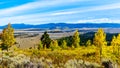 Fall Colors in the Snake River Valley viewed from Signal Mountain in Grand Teton National Park