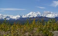 Fall colors and snow capped mountains in Alaska Royalty Free Stock Photo