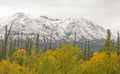 Fall Colors with Snow on the Mountains Royalty Free Stock Photo