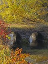Fall Colors, stream and culverts Royalty Free Stock Photo