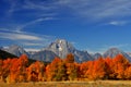 Fall colors surround a rock cliff in The Grand Tetons. Royalty Free Stock Photo