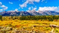 Fall Colors surrounding the Cloud covered Peaks of the Grand Tetons In Grand Tetons National Park Royalty Free Stock Photo