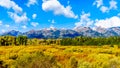 Fall Colors surrounding the Cloud covered Peaks of the Grand Tetons In Grand Tetons National Park Royalty Free Stock Photo