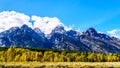 Fall Colors and the tall mountain peaks of Middle Teton, Grand Teton, Mount Owen and Teewinot Mountain in the Teton Range Royalty Free Stock Photo