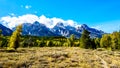 Fall Colors and the tall mountain peaks of Middle Teton, Grand Teton, Mount Owen and Teewinot Mountain in the Teton Range