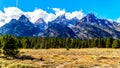 Fall Colors and the tall mountain peaks of Middle Teton, Grand Teton, Mount Owen and Teewinot Mountain in the Teton Range