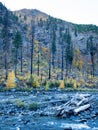 Fall colors at Tumwater Canyon Royalty Free Stock Photo