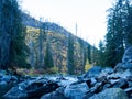 Fall colors at Tumwater Canyon Royalty Free Stock Photo