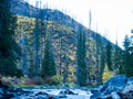 Fall colors at Tumwater Canyon Royalty Free Stock Photo