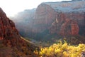 Fall colors in the Valley of the Virgin River in Zion National Park Royalty Free Stock Photo