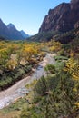 Fall colors in the Valley of the Virgin River in Zion National Park Royalty Free Stock Photo