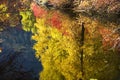 Fall Colors Wenatchee River Washington Royalty Free Stock Photo