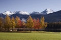 Fall Colors in Whistler's Rainbow Park