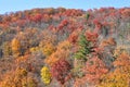 Fall colors woods forest in the Smoky Mountains National Park, Tennessee, USA Royalty Free Stock Photo